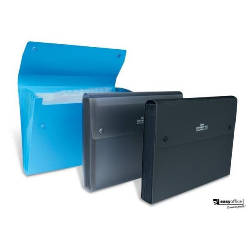 Teczka harmonijkowa A4 13kiesz. czarna przezroczysta DCD14AT PENTEL-6064123