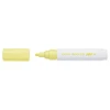 Marker olejowy PILOT Pintor M a'6 MIX pastel-4279029