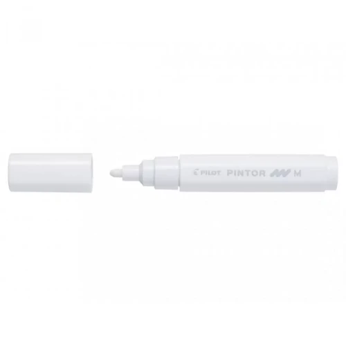 Marker olejowy PILOT Pintor M a'6 MIX pastel-4279025