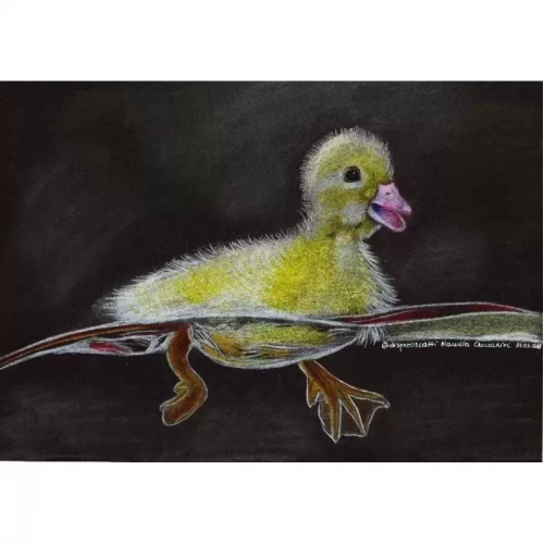 Kredki ołówkowe KOH-I-NOOR Polycolor 24 kolorów + strugawka-4436963