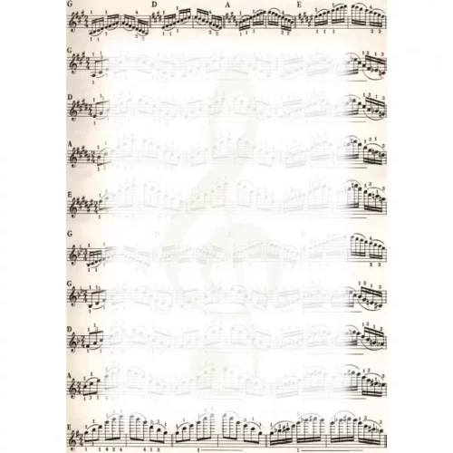 Dyplom A4 GALERIA PAPIERU nuty 170g 25szt.-4932178