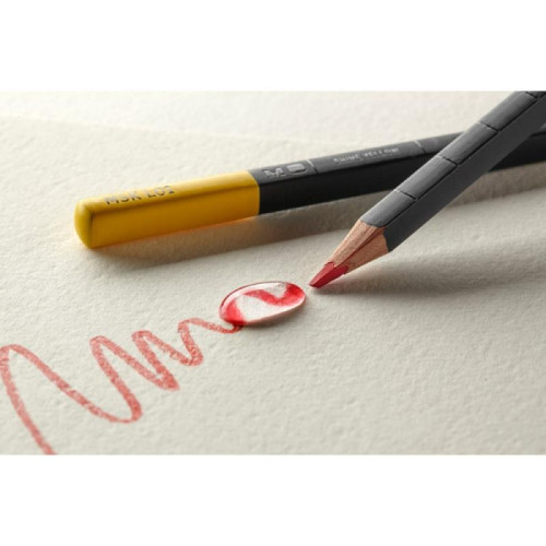 Zestaw kredek MOLESKINE 12 kolorów w metalowym pudełku-C:\ProgramData\e-mo.pl\Action2sklep\zdjecia\2\7\0\1\2\6\3\2.jpg